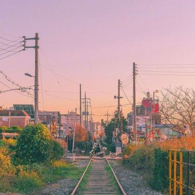 bob体体育app下载