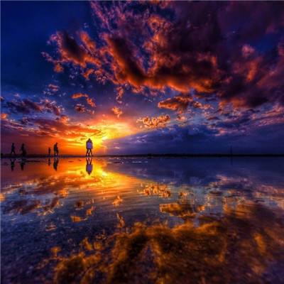 半岛bob·体育官方网站